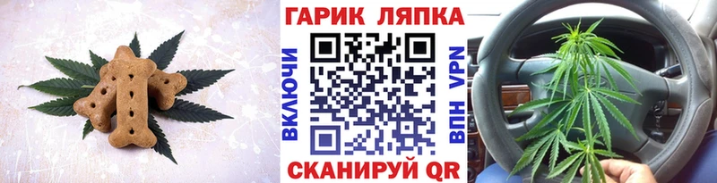 ссылка на мегу ТОР  Салаир  Cannafood марихуана 