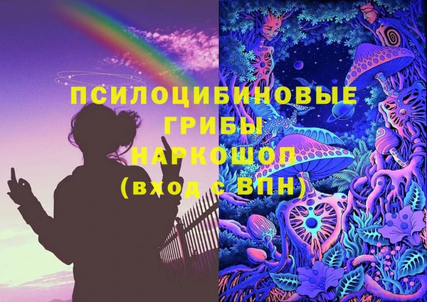 сатива Дмитровск