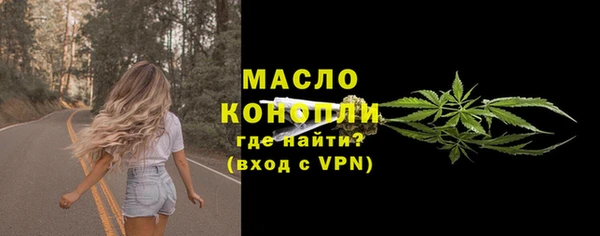 мет Дмитриев