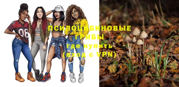 амф Дмитров