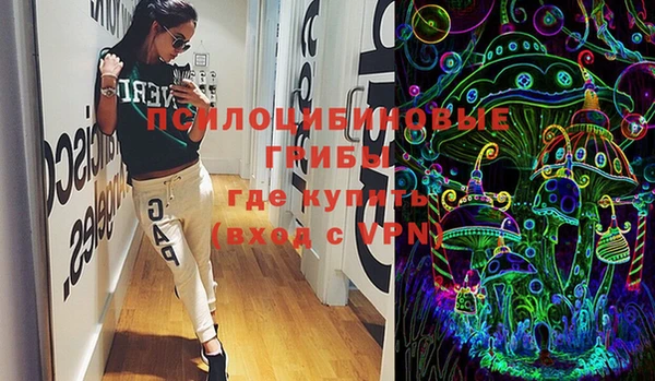 прущая мука Кирсанов