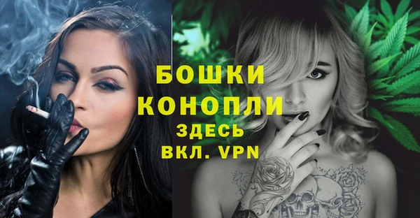 амф Дмитров