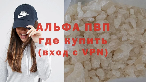 сатива Дмитровск