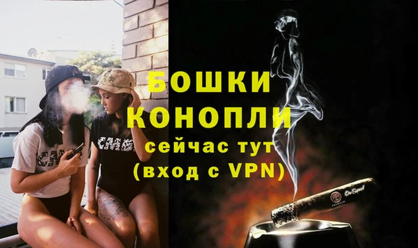 амф Дмитров