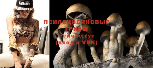 амф Дмитров